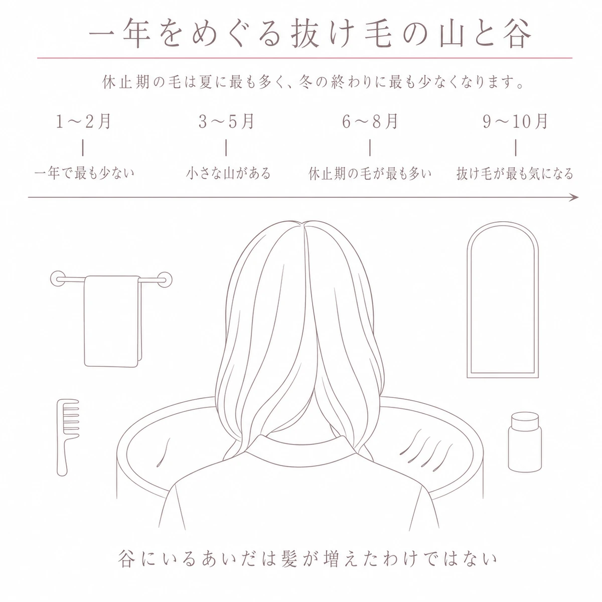 一年を四つに区切った帯の上で、夏に増えて冬の終わりに減る抜け毛の波を線の本数で示した図