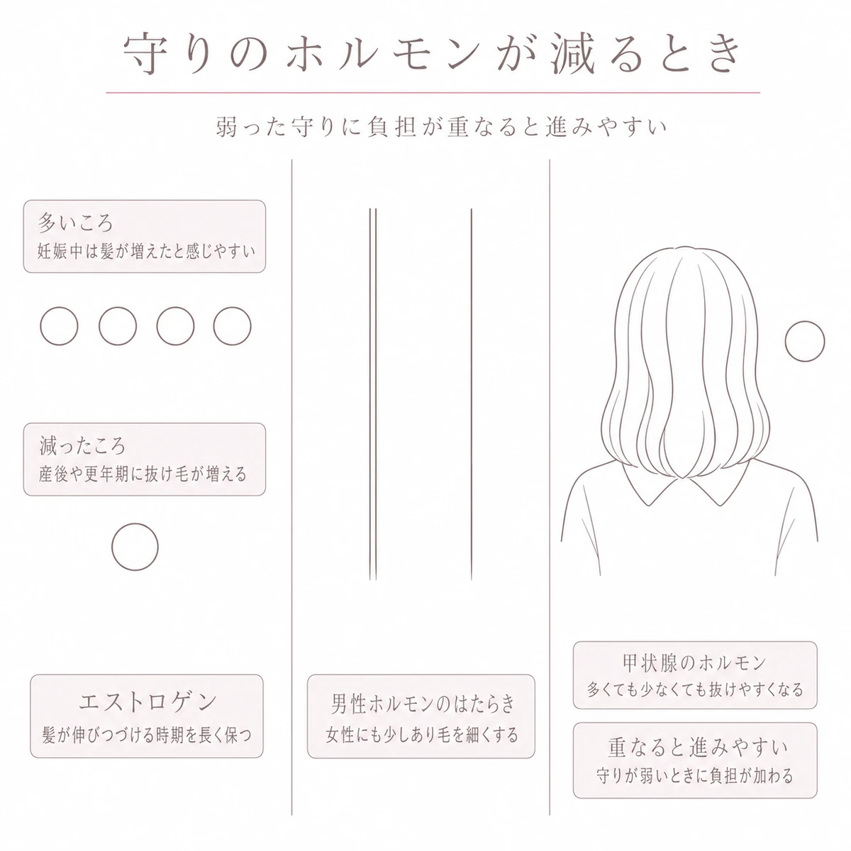 エストロゲンの増減と男性ホルモンによる毛の細りと甲状腺の乱れを横に三つ並べた線画イラスト