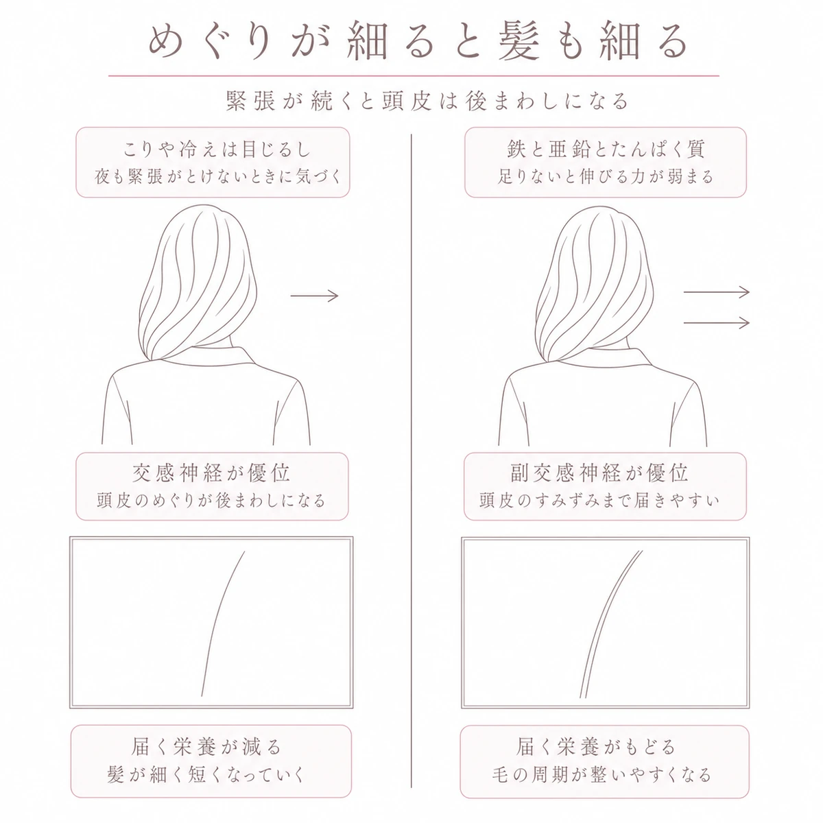 緊張で頭皮のめぐりが滞る側とゆるんで届く側を左右に並べて比べた線画イラスト