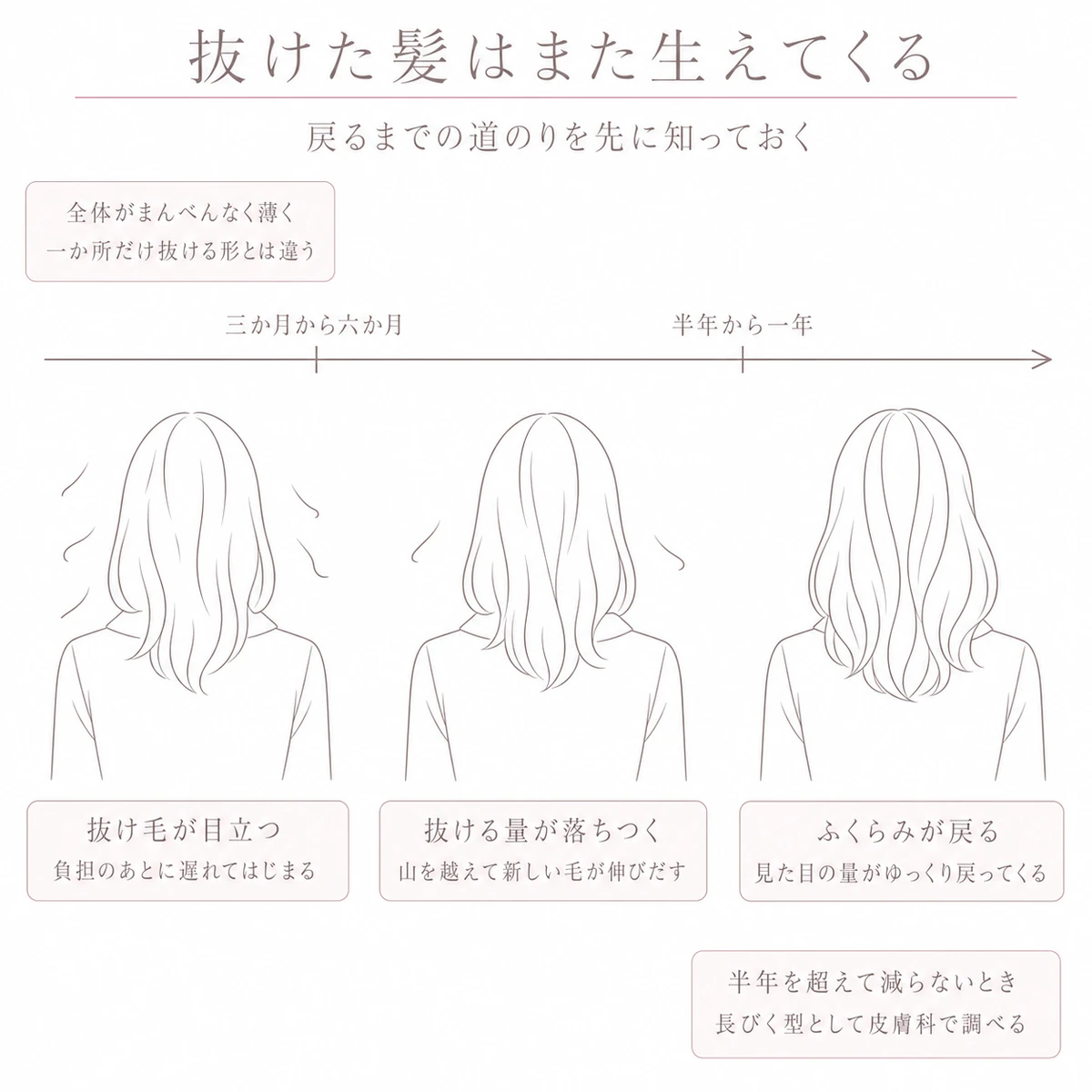 抜け毛が目立つ時期から量が落ちつきボリュームが戻るまでの経過を左から右へ並べた線画イラスト