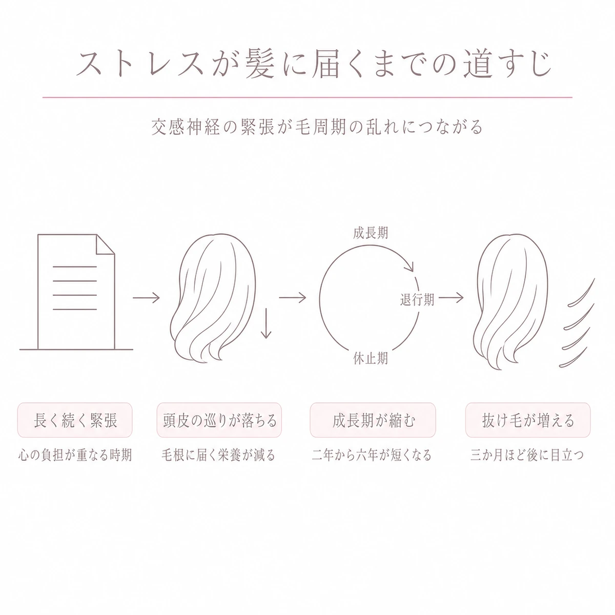 長く続く緊張から頭皮の巡りの低下と毛周期の乱れを経て抜け毛に至る流れを横一列に並べた線画イラスト