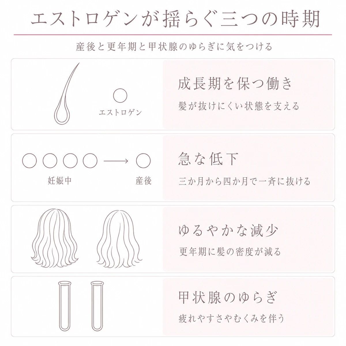 エストロゲンの働きと産後の急な低下や更年期の減少と甲状腺のゆらぎを四段に積んで並べた線画イラスト