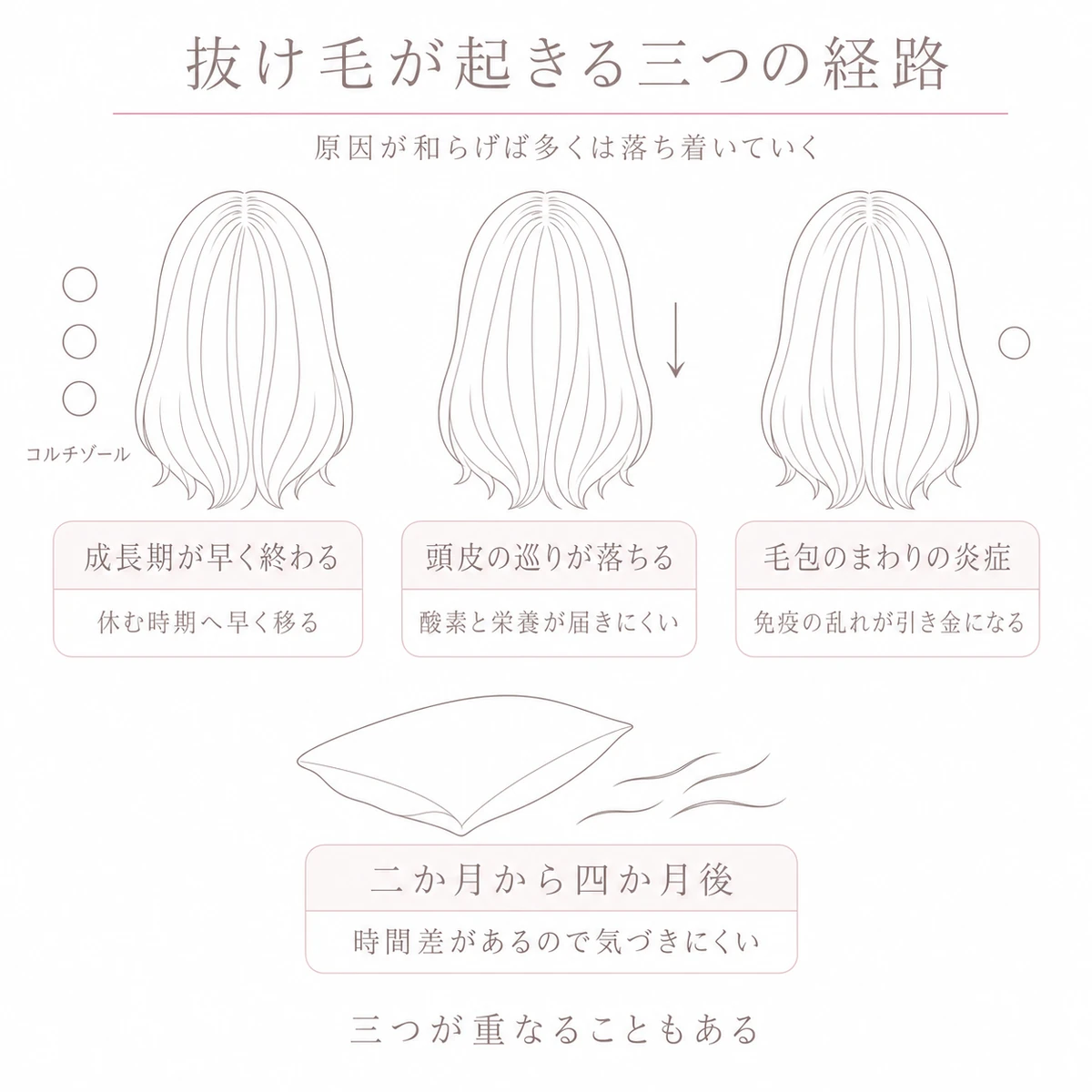 コルチゾールと血流の低下と免疫の乱れという三つの経路と時間差で増える抜け毛を横に並べた線画イラスト