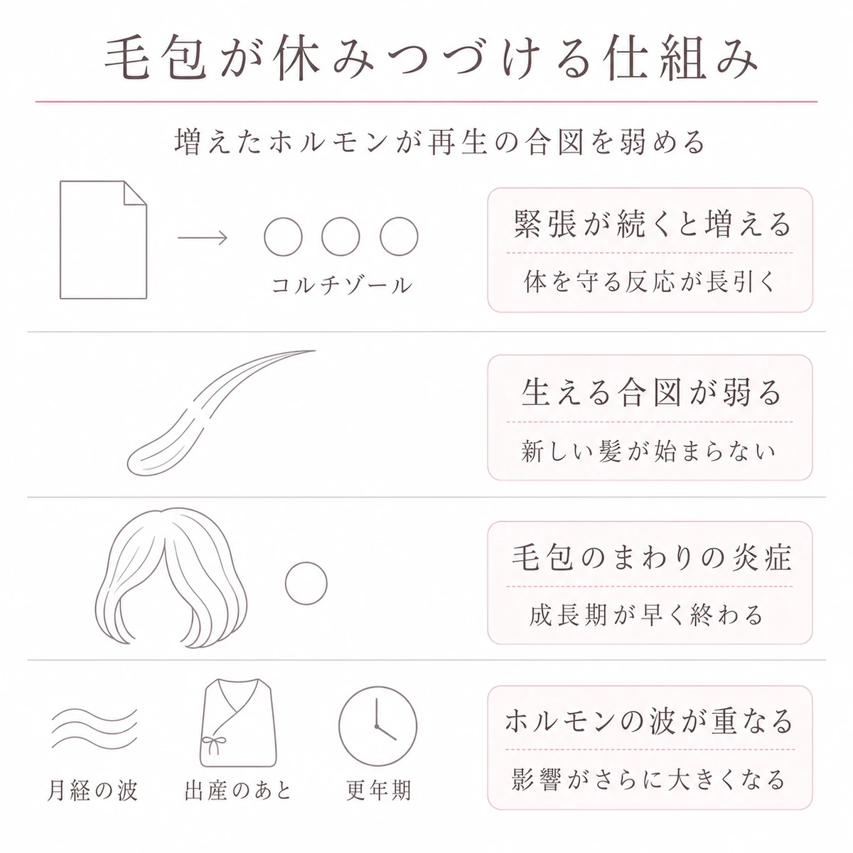 コルチゾールの増加から生える合図の低下と毛包の炎症とホルモンの波の重なりまでを四段に積んだ線画イラスト