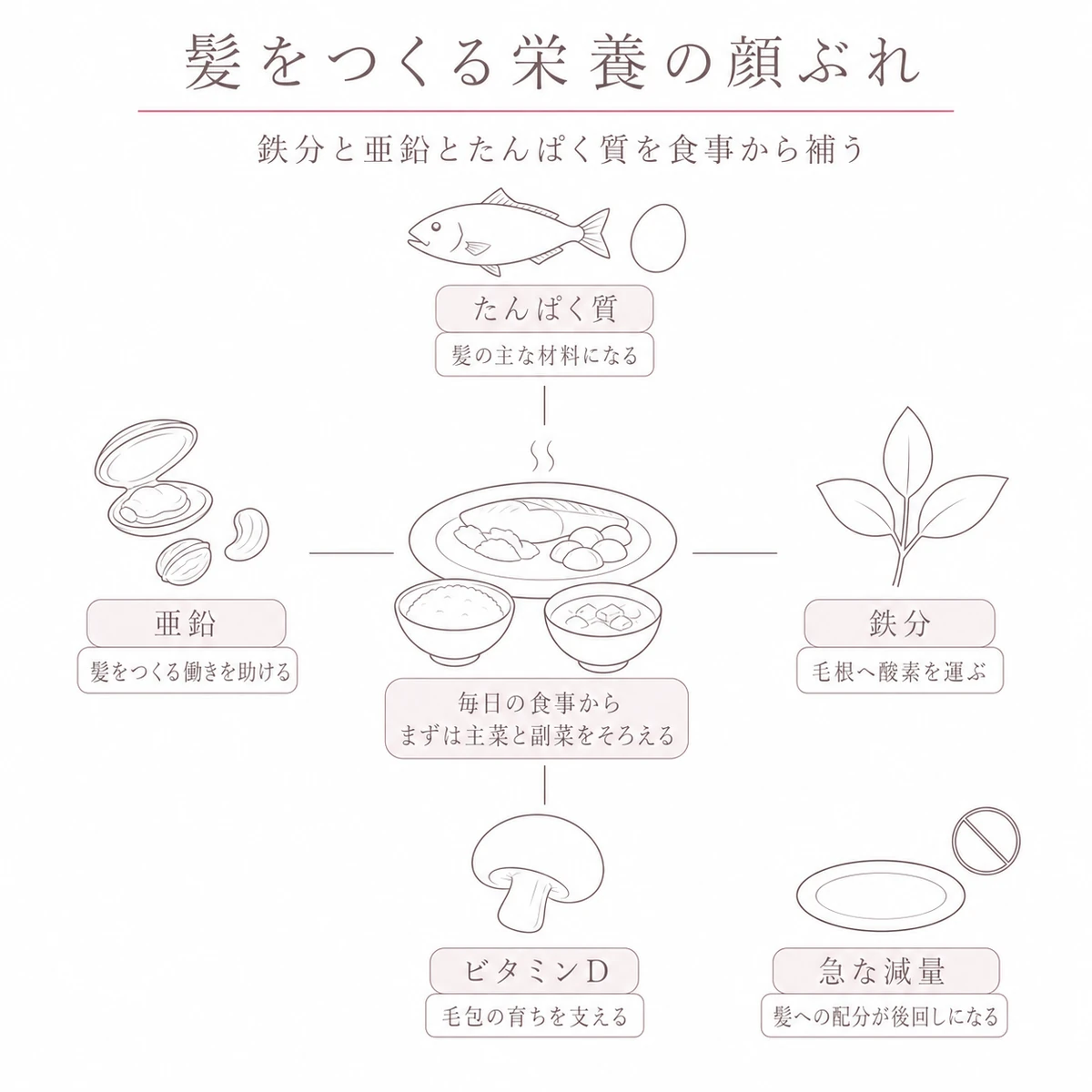 中央の食事から放射状にたんぱく質と鉄分と亜鉛とビタミンDを配し急な減量の注意も添えた線画イラスト