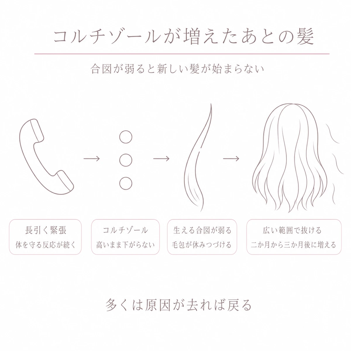 長引く緊張からコルチゾールの増加と生える合図の低下を経て広い範囲の抜け毛に至る流れを並べた線画イラスト