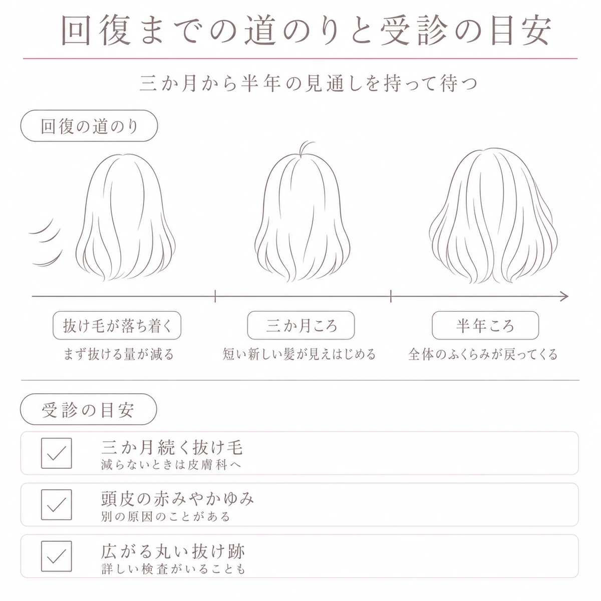 抜け毛が落ち着いてから三か月と半年で髪が戻る道のりを上段に受診の目安を下段に置いた線画イラスト
