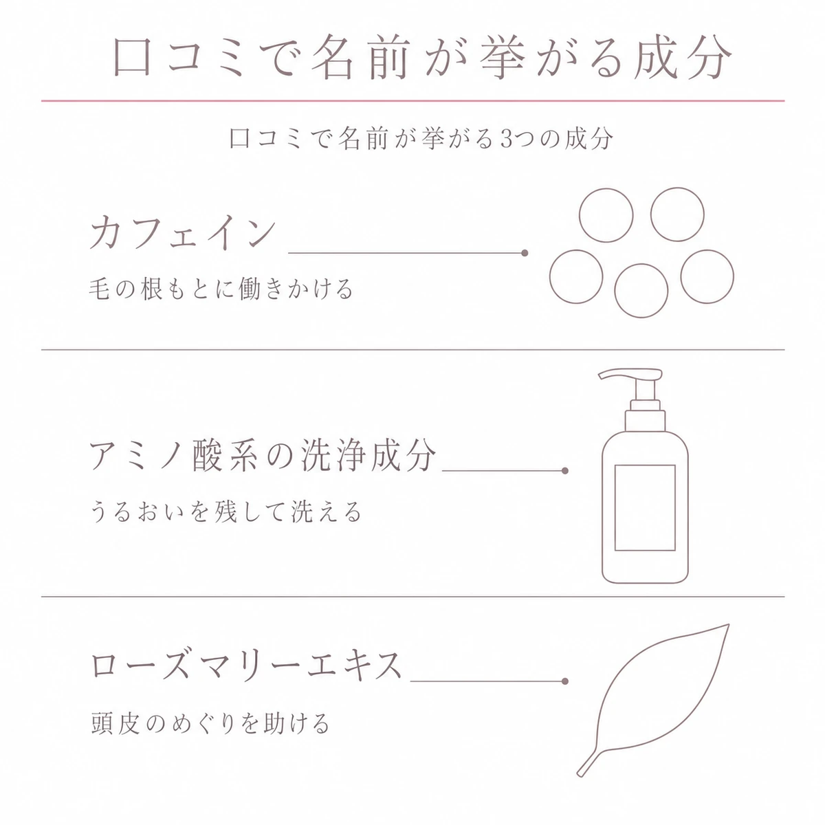 カフェインとアミノ酸系の洗浄成分と植物のエキスを上から順に積み、役割をそえた線画