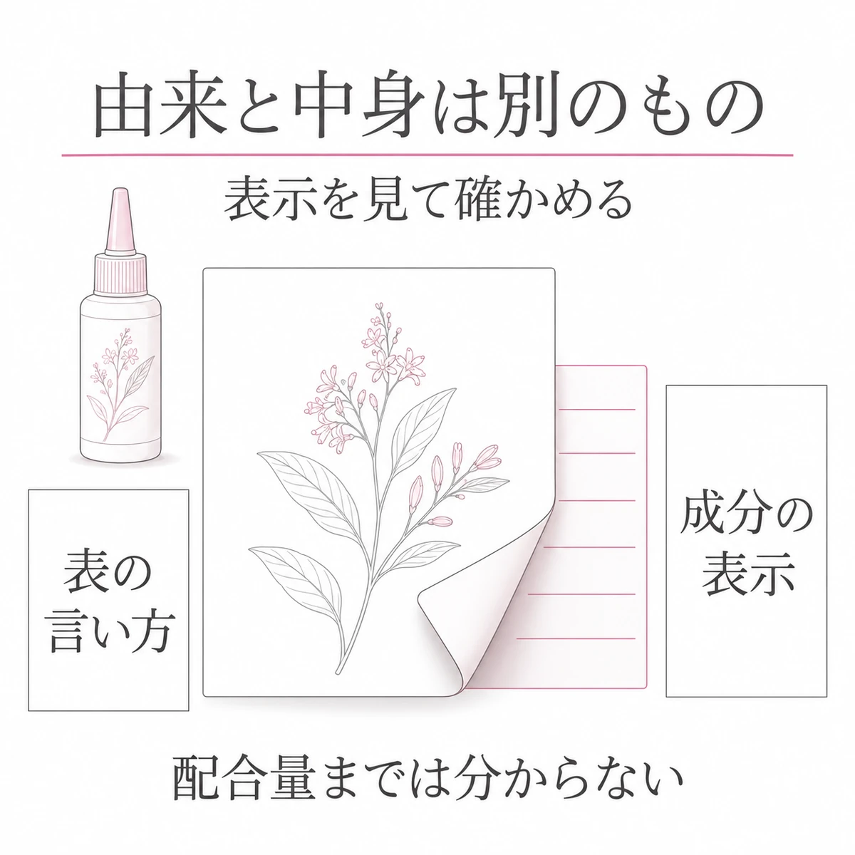 植物モチーフのある製品の表面と、めくった内側の成分表示を見比べる図解