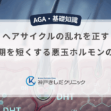 ヘアサイクルの乱れを正す｜成長期を短くする悪玉ホルモンの正体