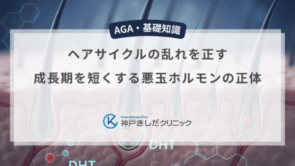 ヘアサイクルの乱れを正す｜成長期を短くする悪玉ホルモンの正体