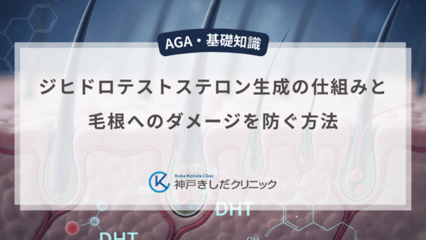 ジヒドロテストステロン生成の仕組みと毛根へのダメージを防ぐ方法