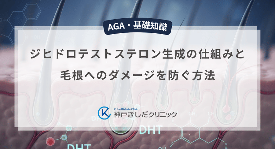 ジヒドロテストステロン生成の仕組みと毛根へのダメージを防ぐ方法