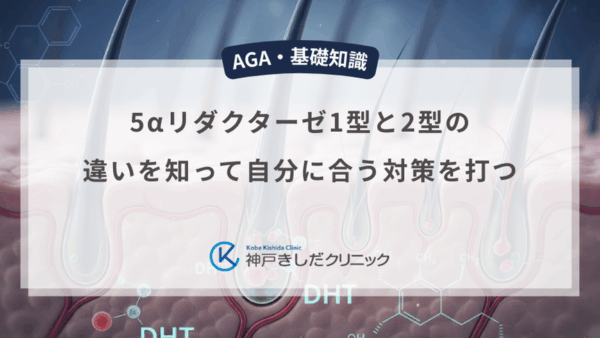 5αリダクターゼ1型と2型の違いを知って自分に合う対策を打つ
