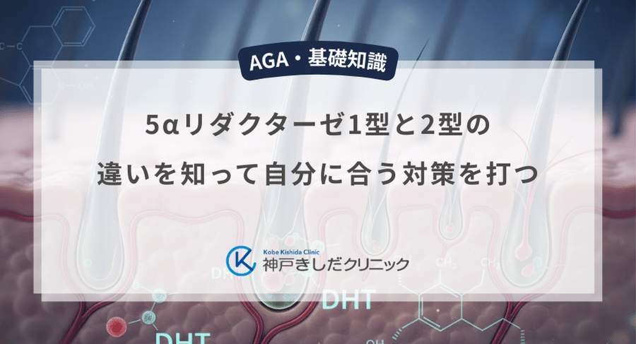 5αリダクターゼ1型と2型の違いを知って自分に合う対策を打つ