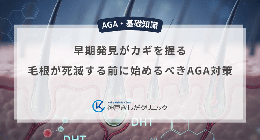 早期発見がカギを握る|毛根が死滅する前に始めるべきAGA対策