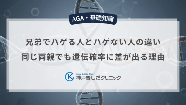 兄弟でハゲる人とハゲない人の違い｜同じ両親でも遺伝確率に差が出る理由