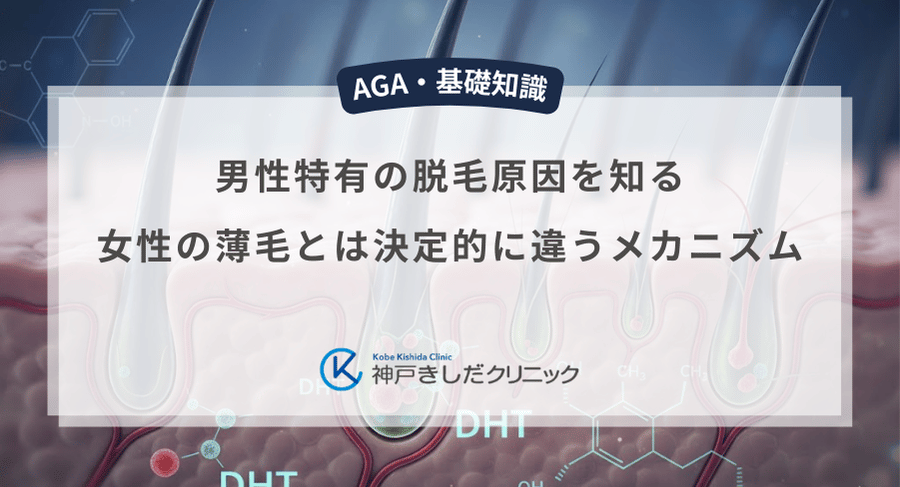 男性特有の脱毛原因を知る｜女性の薄毛とは決定的に違うメカニズム