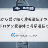 母親から受け継ぐ薄毛遺伝子の正体｜アンドロゲン受容体と母系遺伝の影響