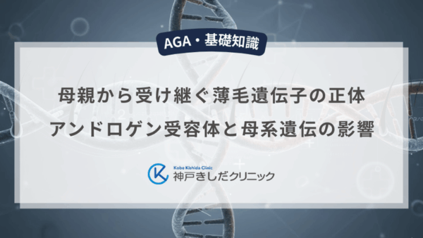 母親から受け継ぐ薄毛遺伝子の正体｜アンドロゲン受容体と母系遺伝の影響