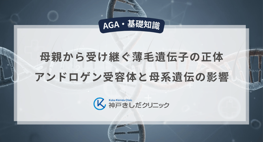 母親から受け継ぐ薄毛遺伝子の正体｜アンドロゲン受容体と母系遺伝の影響