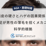 頭皮の硬さとハゲの因果関係！血流不足が男性の薄毛を招くメカニズムと科学的根拠