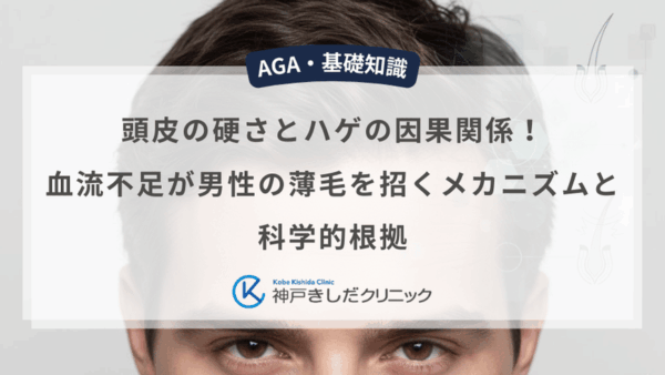 頭皮の硬さとハゲの因果関係！血流不足が男性の薄毛を招くメカニズムと科学的根拠