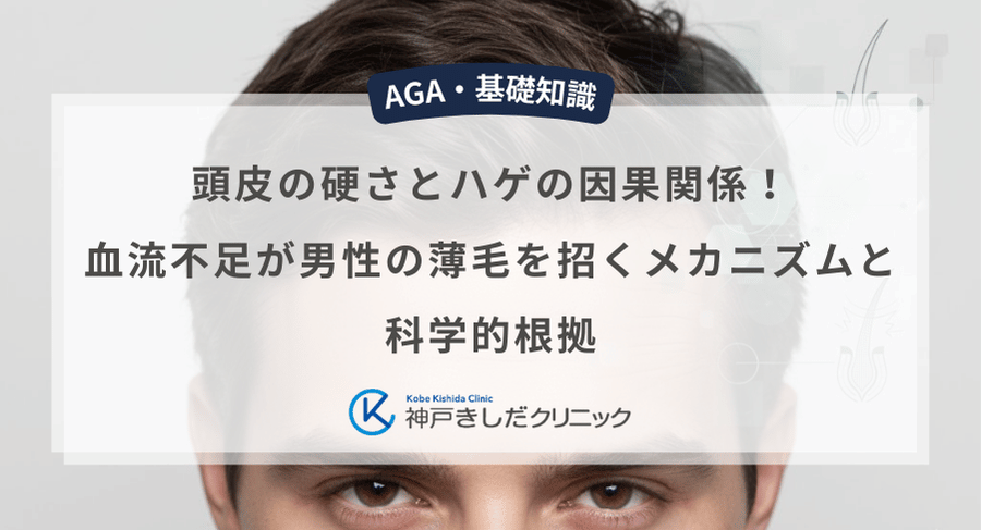 頭皮の硬さとハゲの因果関係！血流不足が男性の薄毛を招くメカニズムと科学的根拠