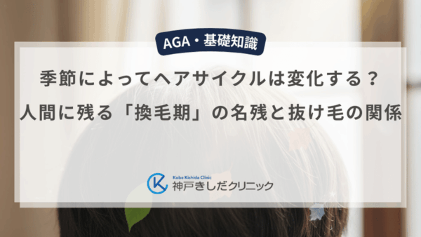 季節によってヘアサイクルは変化する？人間に残る「換毛期」の名残と抜け毛の関係