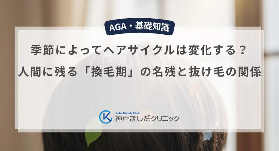 季節によってヘアサイクルは変化する？人間に残る「換毛期」の名残と抜け毛の関係