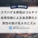 『ストレスでハゲる原因はコルチゾール？血管収縮による血流悪化と男性の抜け毛メカニズム』