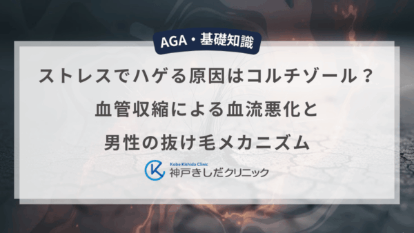 『ストレスでハゲる原因はコルチゾール？血管収縮による血流悪化と男性の抜け毛メカニズム』