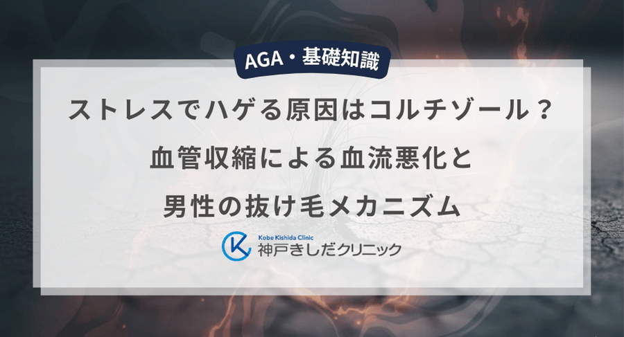 『ストレスでハゲる原因はコルチゾール?血管収縮による血流悪化と男性の抜け毛メカニズム』