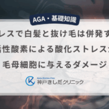 ストレスで白髪と抜け毛は併発する？活性酸素による酸化ストレスが毛母細胞に与えるダメージ