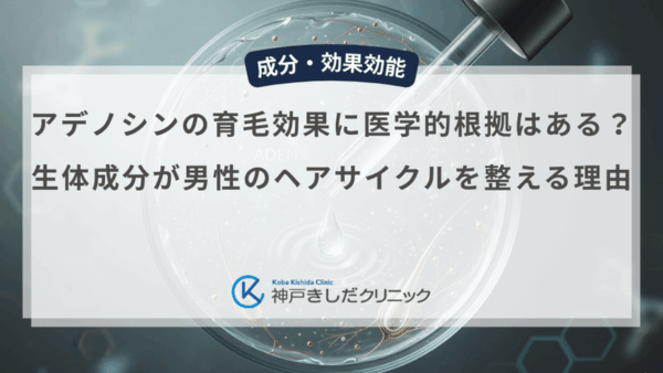 アデノシンの育毛効果に医学的根拠はある？生体成分が男性のヘアサイクルを整える理由