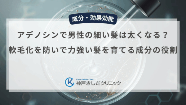 アデノシンで男性の細い髪は太くなる？軟毛化を防いで力強い髪を育てる成分の役割