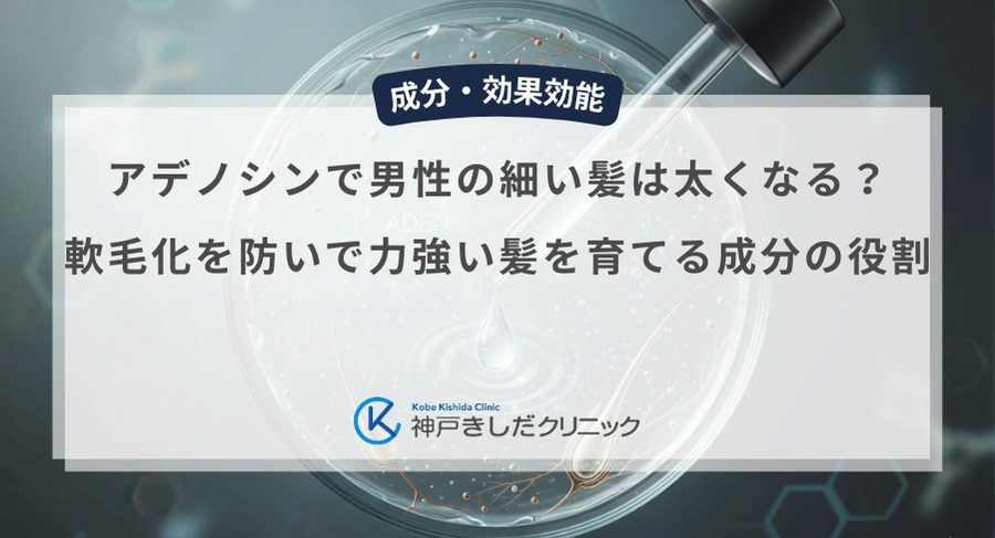 アデノシンで男性の細い髪は太くなる？軟毛化を防いで力強い髪を育てる成分の役割