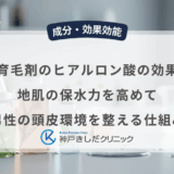 育毛剤のヒアルロン酸の効果｜地肌の保水力を高めて男性の頭皮環境を整える仕組み