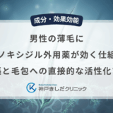 男性の薄毛にミノキシジル外用薬が効く仕組み｜血管拡張と毛包への直接的な活性化プロセス