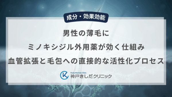 男性の薄毛にミノキシジル外用薬が効く仕組み｜血管拡張と毛包への直接的な活性化プロセス