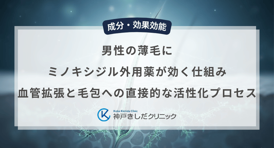 男性の薄毛にミノキシジル外用薬が効く仕組み｜血管拡張と毛包への直接的な活性化プロセス