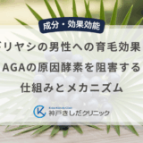 ノコギリヤシの男性への育毛効果とは？AGAの原因酵素を阻害する仕組みとメカニズム