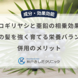 ノコギリヤシと亜鉛の相乗効果！男性の髪を強く育てる栄養バランスと併用のメリット