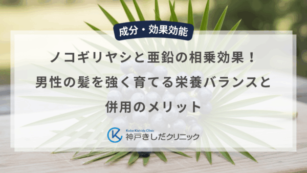ノコギリヤシと亜鉛の相乗効果！男性の髪を強く育てる栄養バランスと併用のメリット