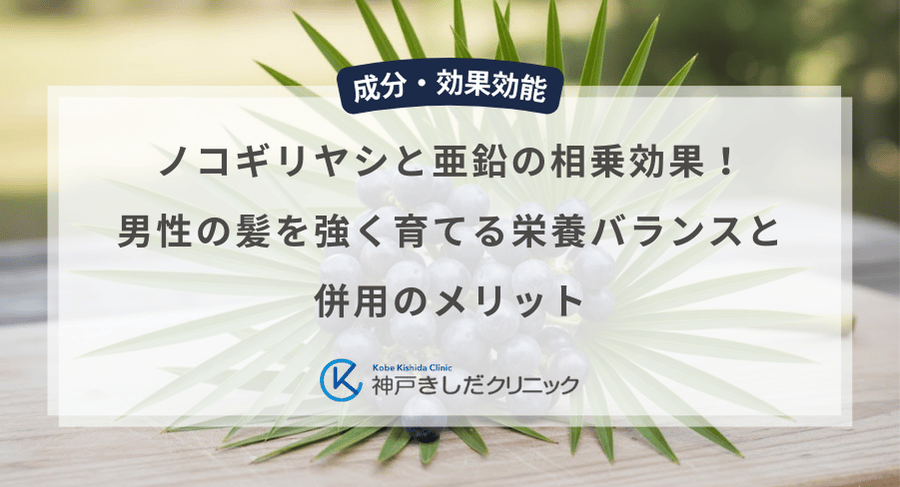 ノコギリヤシと亜鉛の相乗効果！男性の髪を強く育てる栄養バランスと併用のメリット