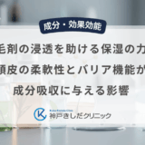 育毛剤の浸透を助ける保湿の力！頭皮の柔軟性とバリア機能が成分吸収に与える影響