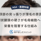 頭頂部の突っ張りが薄毛の原因？帽状腱膜の硬さが毛母細胞への栄養を阻害する仕組み
