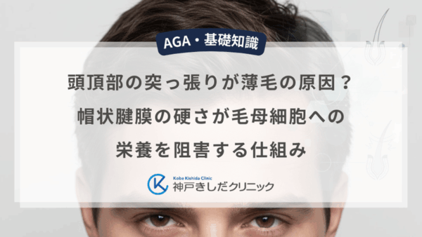頭頂部の突っ張りが薄毛の原因？帽状腱膜の硬さが毛母細胞への栄養を阻害する仕組み