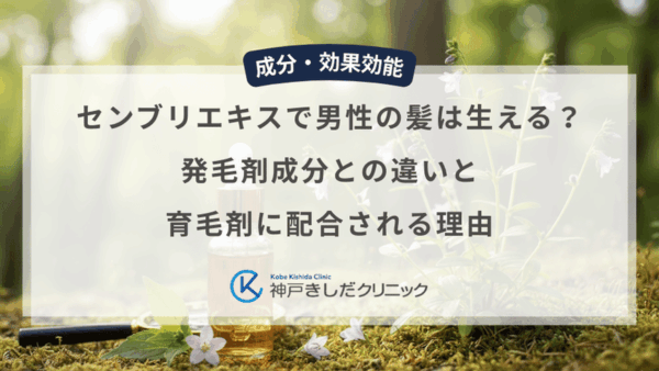センブリエキスで男性の髪は生える？発毛剤成分との違いと育毛剤に配合される理由