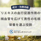 センブリエキスの血行促進作用の仕組み｜末梢血管を広げて男性の毛根に栄養を運ぶ役割